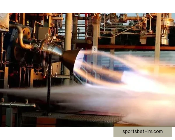 申京爆砍36147333创历史纪录成里程碑之夜火箭新王震撼联盟