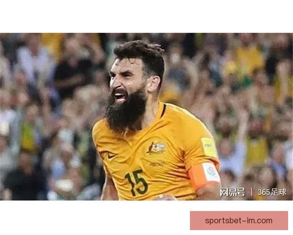 世界杯竞猜盘口预测分析全攻略助你赢取投注大奖